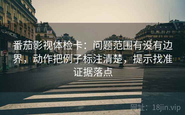 番茄影视体检卡：问题范围有没有边界，动作把例子标注清楚，提示找准证据落点