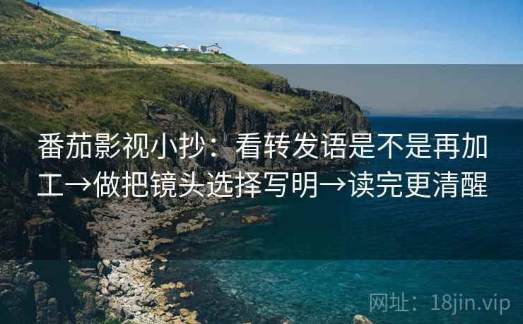 番茄影视小抄：看转发语是不是再加工→做把镜头选择写明→读完更清醒